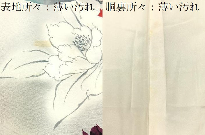 平和屋着物■訪問着　手描き　草花文　暈し染め　正絹　逸品　BAAX6311hj