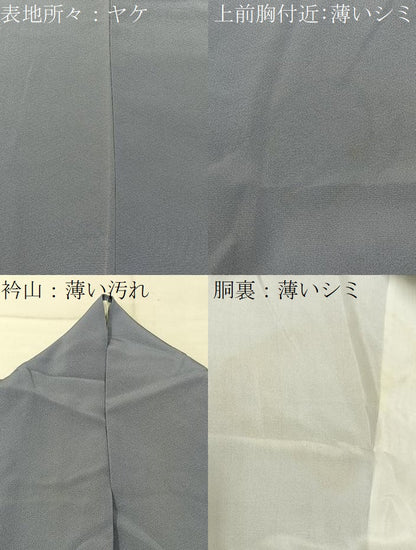 平和屋着物■訪問着　鏡裏花文　暈し染め　金彩　正絹　逸品　BAAX6322hj