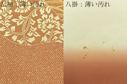 平和屋着物■訪問着　江戸小紋　道長更紗花文　鮫小紋柄　正絹　逸品　BAAX6345hj