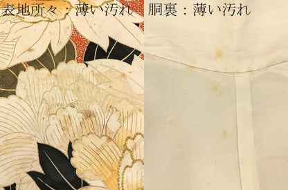 平和屋着物■豪華振袖　駒刺繍　牡丹　金彩　正絹　逸品　BAAX6352hj