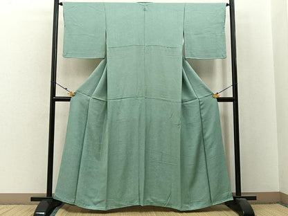平和屋着物■上質な色無地　草花地紋　裏葉柳色　正絹　逸品　未使用　BAAX6393hj