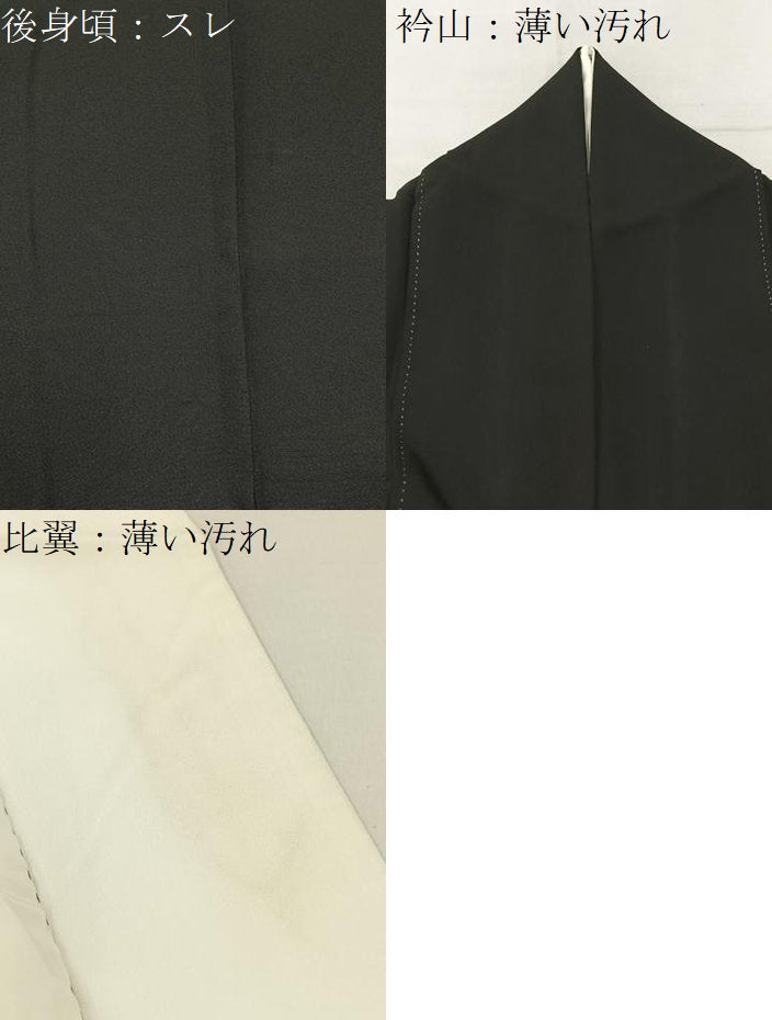 平和屋着物■豪華黒留袖　作家物　手描き　平等院　金彩　正絹　逸品　BAAX6476hj