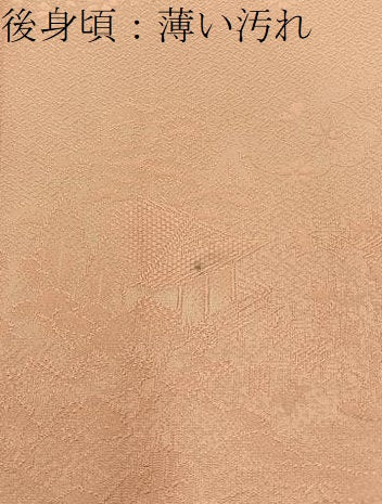 平和屋着物■上質な色無地　風景地紋　一斤染色　正絹　逸品　BAAX6478hj