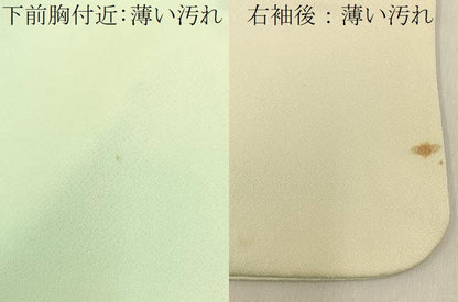 平和屋着物■訪問着　手描き　草花文　暈し染め　正絹　逸品　BAAX6488hj