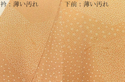 平和屋着物■江戸小紋　切嵌寄せ小紋柄　正絹　逸品　BAAX6493hj