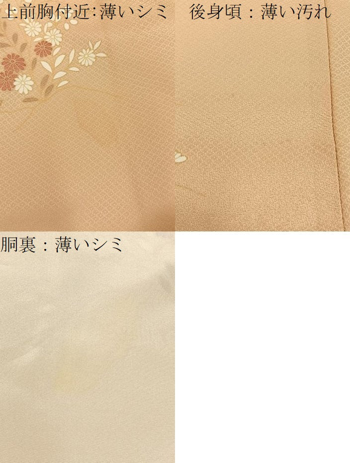 平和屋着物■訪問着　御所解花鳥文　暈し染め　金彩　正絹　逸品　BAAX6506hj