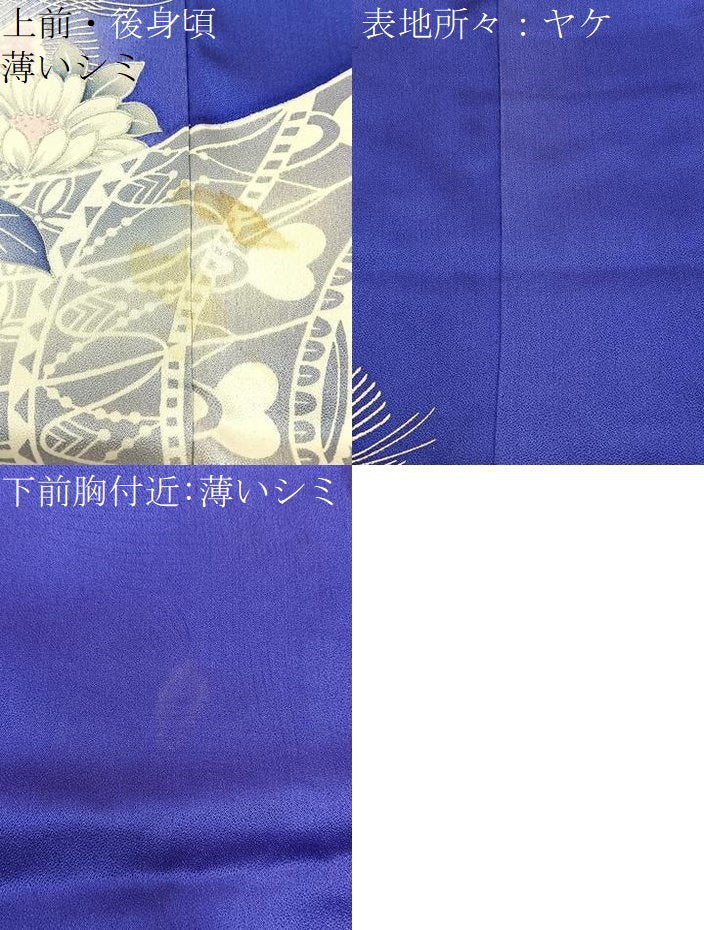 平和屋着物■豪華振袖　駒刺繍　牡丹孔雀羽文　暈し染め　銀彩　正絹　逸品　BAAX6534hj