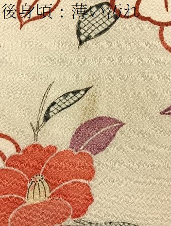 平和屋着物■上質な小紋　枝椿　鬼しぼ縮緬　正絹　逸品　未使用　BAAX6541hj