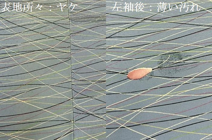 平和屋着物■上質な小紋　舞葉文　正絹　逸品　BAAX6544hj