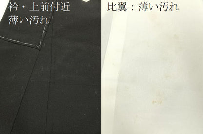 平和屋着物■豪華黒留袖　作家物　駒刺繍　宝尽くし御所車文　暈し染め　金銀彩　正絹　逸品　未使用　BAAX6559hj