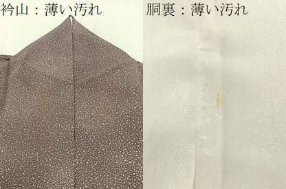 平和屋着物■上質な小紋　あられ文様　大丸扱い　正絹　逸品　BAAX6578hj
