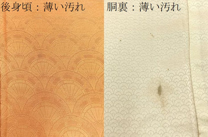平和屋着物■上質な小紋　片輪車青海波地紋　暈し染め　正絹　逸品　BAAX6617hj