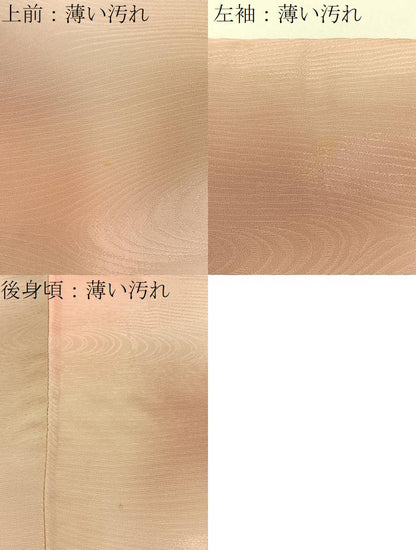 平和屋着物■上質な小紋　流水地紋　暈し染め　正絹　逸品　BAAX6644hj