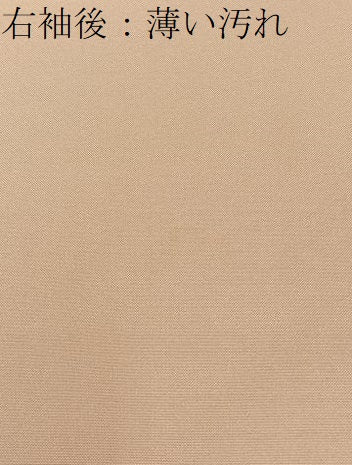 平和屋着物■本場縞大島紬　色無地　虹色　正絹　逸品　BAAX6698hj