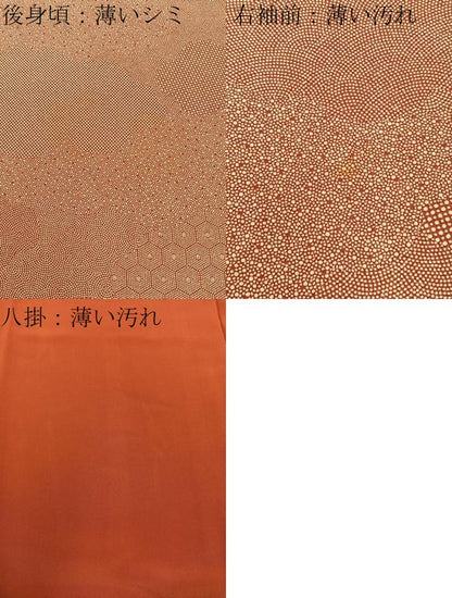 平和屋着物■江戸小紋　雲取寄せ小紋柄　正絹　逸品　未使用　BAAX6733hj