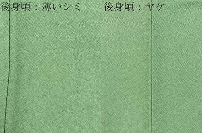 平和屋着物■上質な色無地　宇治本茶染　彩遊染　紗綾形地紋　若葉色　証紙付き　正絹　逸品　BAAX6747hj