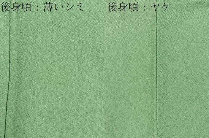 平和屋着物■上質な色無地　宇治本茶染　彩遊染　紗綾形地紋　若葉色　証紙付き　正絹　逸品　BAAX6747hj