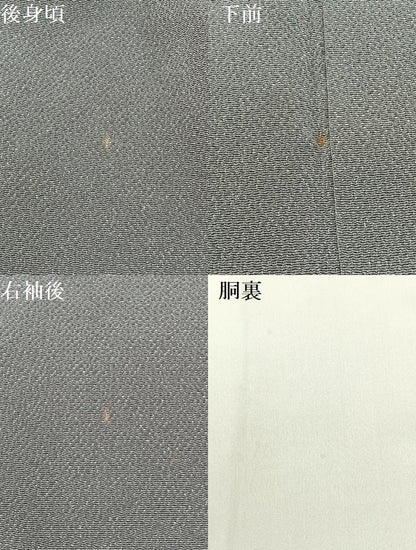 平和屋着物●上質な色無地　霞色　鬼しぼ縮緬　正絹　逸品　BAAX6751hj