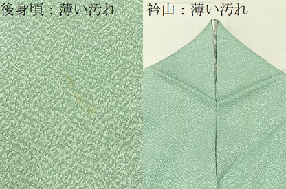 平和屋着物■上質な色無地　夏虫色　正絹　逸品　BAAX6778hj