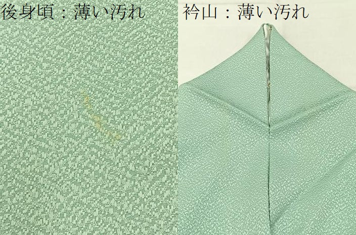 平和屋着物■上質な色無地　夏虫色　正絹　逸品　BAAX6778hj
