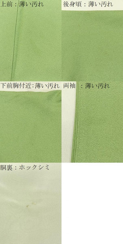 平和屋着物■上質な色無地　菊地紋　若菜色　正絹　逸品　BAAX6780hj