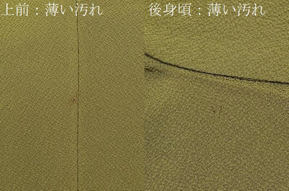 平和屋着物■ファッションデザイナー 花井幸子監修　色無地　梅幸茶色　鬼しぼ縮緬　正絹　逸品　BAAX6790hj