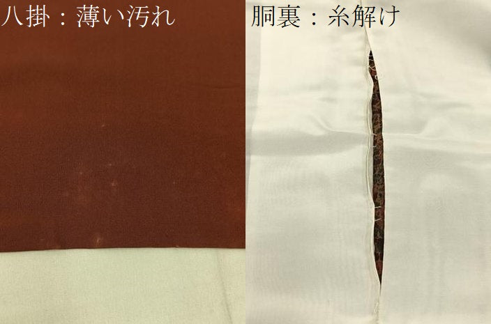 平和屋着物■上質な小紋　草花尽くし　鬼しぼ縮緬　正絹　逸品　BAAX6803hj