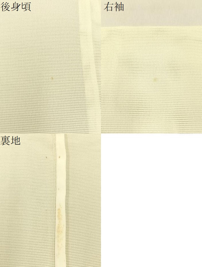 平和屋着物＊夏物　訪問着　絽　紫陽花　暈し染め　洗える着物　BAAX6843hj