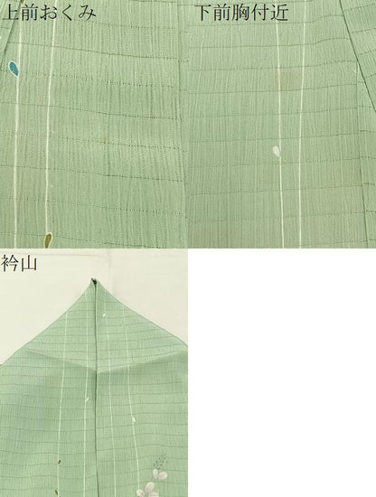 平和屋着物＊夏物　小紋　絽縮緬　萩　洗える着物　BAAX6901hj