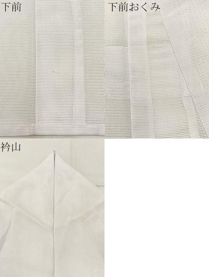 平和屋着物＊夏物　訪問着　絽　風景草花文　暈し染め　洗える着物　BAAX6902hj