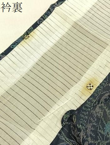 平和屋着物＊夏物　紗紬　草花文　濃紺地　正絹　逸品　BAAX6910hj