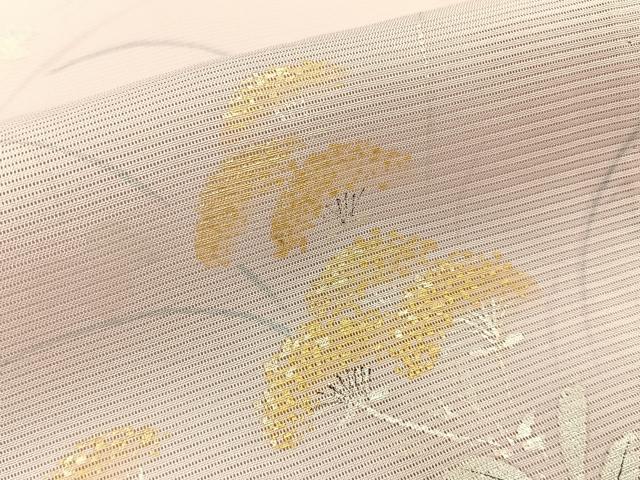 平和屋着物＊夏物　訪問着　絽　手描き　秋草文　暈し染め　正絹　逸品　BAAX6918hj