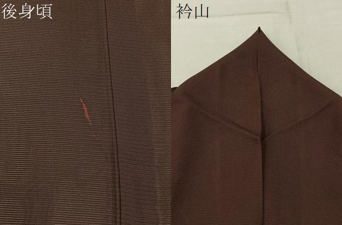 平和屋着物＊夏物　訪問着　絽　芝草文　正絹　逸品　BAAX6922hj