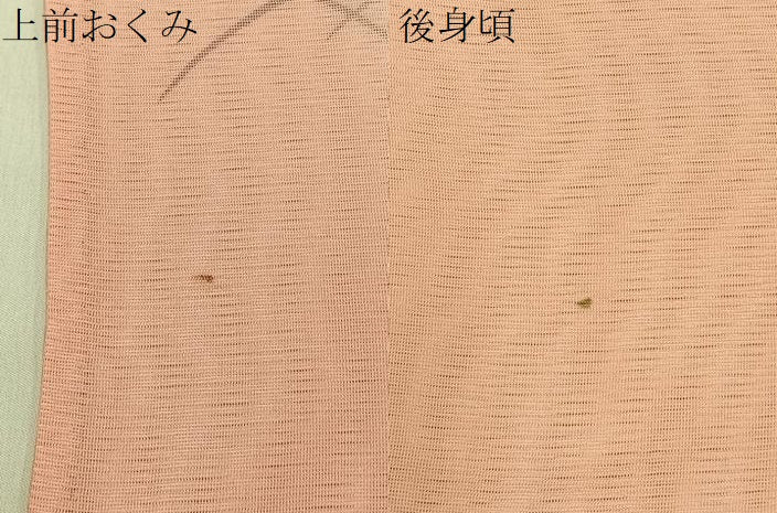 平和屋着物▽訪問着　無双　紗袷　紗×絽　芝草文　暈し染め　正絹　逸品　BAAX6934hj