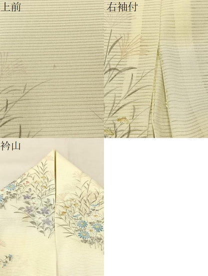平和屋着物＊夏物　小紋　絽　秋草文　暈し染め　銀彩　正絹　逸品　BAAX6960hj