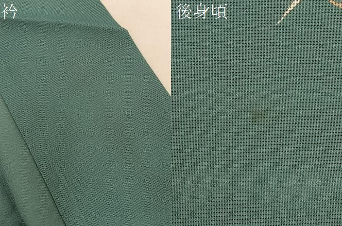 平和屋着物＊夏物　訪問着　絽　蜻蛉　杜若　洗える着物　BAAX6964hj