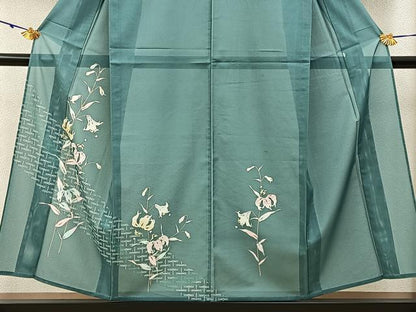 平和屋着物＊夏物　訪問着　絽　蜻蛉　杜若　洗える着物　BAAX6964hj