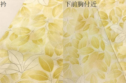 平和屋着物＊夏物　小紋　絽　草葉尽くし　洗える着物　BAAX6967hj