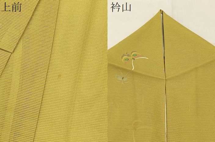 平和屋着物＊夏物　小紋　絽　舞蝶文　金彩　洗える着物　BAAX6980hj