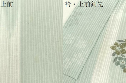平和屋着物＊夏物　小紋　紗　桔梗丸文　洗える着物　BAAX6981hj