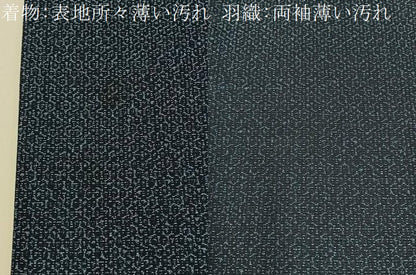 平和屋着物■男性　紬　アンサンブル　亀甲文様　羽裏：富士　正絹　逸品　BAAX6997hj