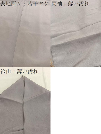 平和屋着物■訪問着　孔雀花文　暈し染め　金彩　正絹　逸品　BAAX7057hv