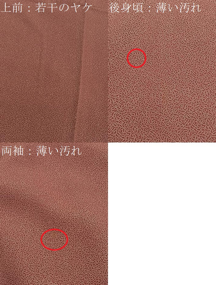 平和屋着物■江戸小紋　家内安全　正絹　逸品　BAAX7059hv