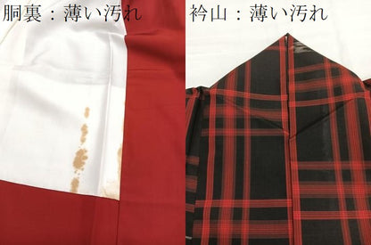 平和屋着物■本場大島紬　藤絹織物謹製　車輪梅格子　琉球絣文様　証紙付き　正絹　逸品　BAAX7062hv