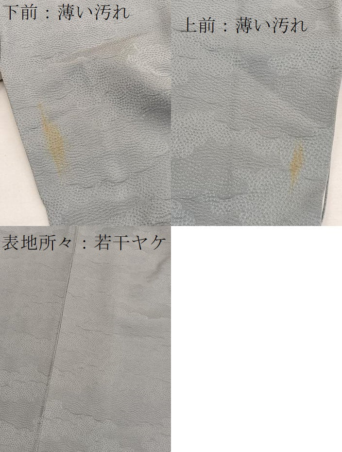 平和屋着物■上質な色無地　瑞雲地紋　蕎麦切色　正絹　逸品　BAAX7071hv