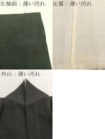平和屋着物■豪華黒留袖　刺繍　浜松樹林文　暈し染め　金彩　正絹　逸品　BAAX7086hv