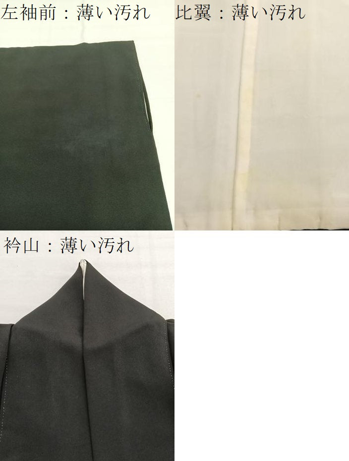 平和屋着物■豪華黒留袖　刺繍　浜松樹林文　暈し染め　金彩　正絹　逸品　BAAX7086hv
