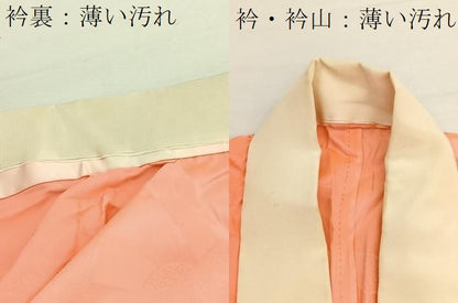 平和屋着物■振袖用長襦袢　無双仕立て　片輪車　暈し染め　正絹　逸品　BAAX7102hv