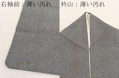 平和屋着物■江戸小紋　鹿の子文様　正絹　逸品　BAAX7103hv