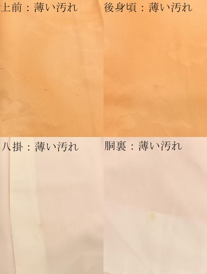 平和屋着物■上質な小紋　瑞雲地紋　暈し染め　正絹　逸品　BAAX7111hv